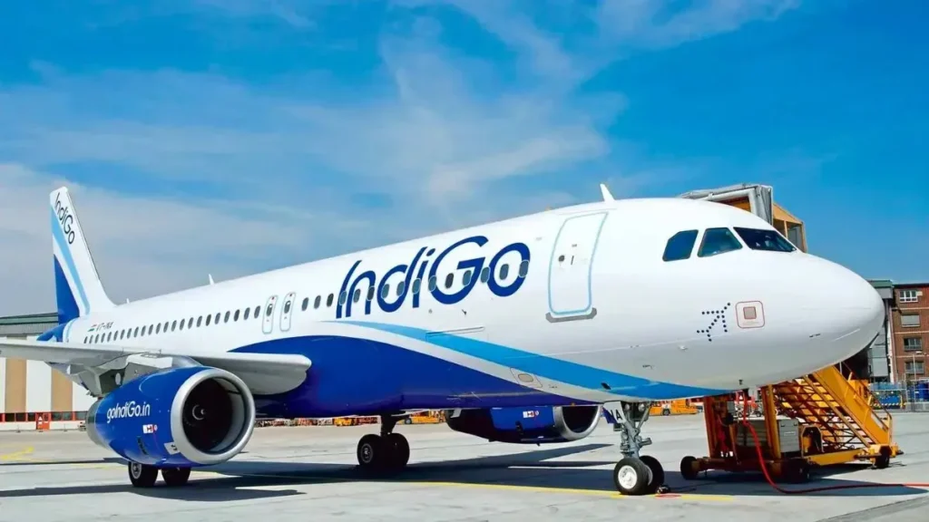 Indigo