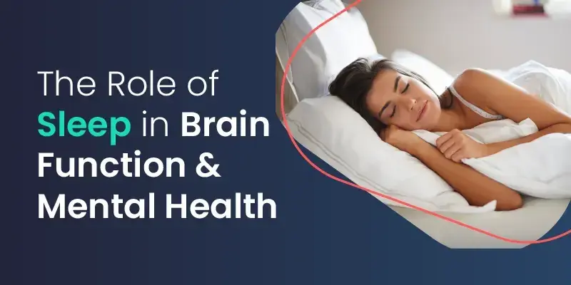 Brain